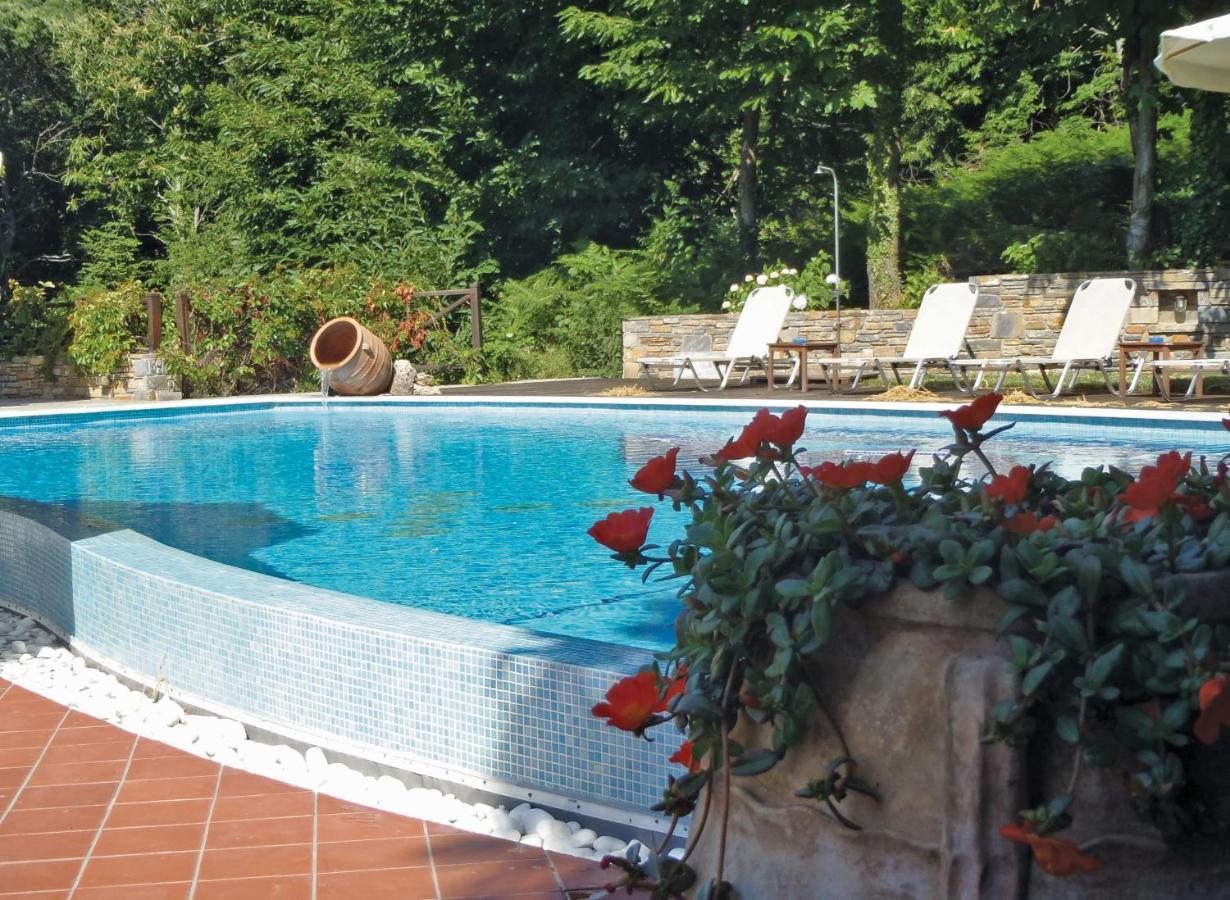 Amalthia Traditional Guesthouse Цагарада Экстерьер фото