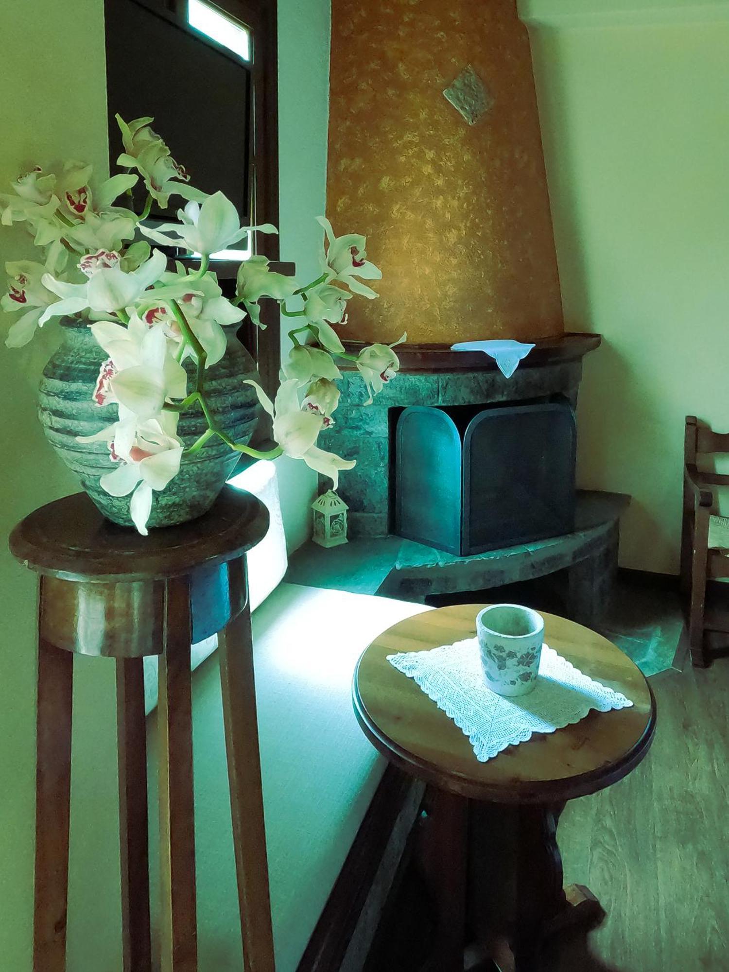 Amalthia Traditional Guesthouse Цагарада Номер фото